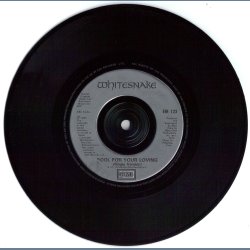 Fool For Your Loving (Single Version) b/w Slow Poke Music