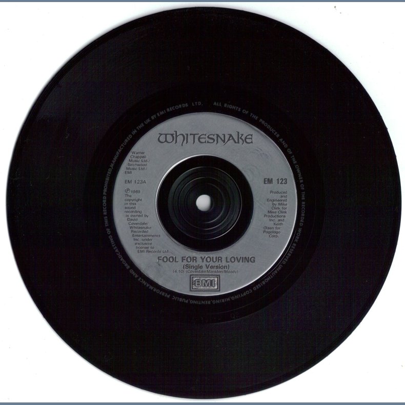 Fool For Your Loving (Single Version) b/w Slow Poke Music