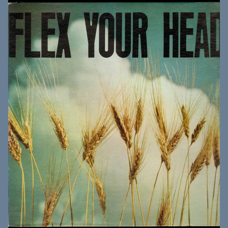 Flex Your Head - US 2nd Issue - Wheat Field Cover