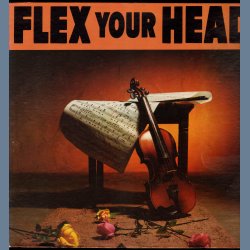 Flex Your Head - Original US 1st Issue - Violin Cover