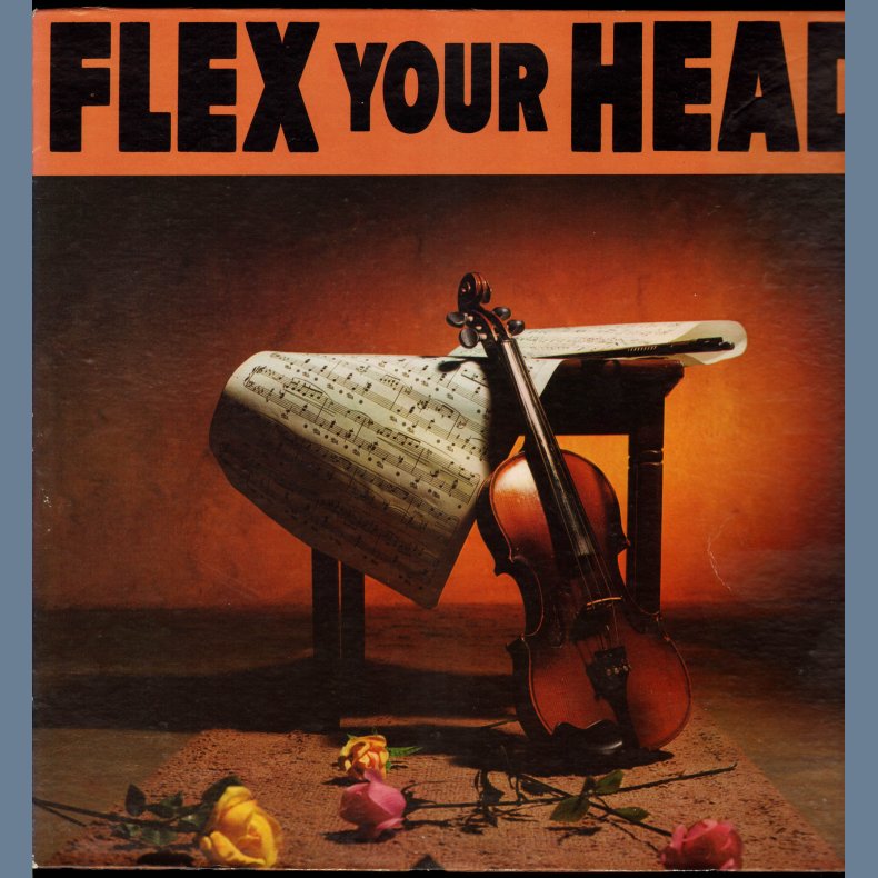 Flex Your Head - Original US 1st Issue - Violin Cover