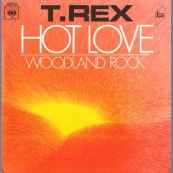 Hot Love b/w Woodland Rock - Original French Issue