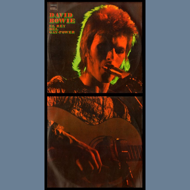 El Rey Del Gay-Power - Original Spanish-Only Vinyl Issue