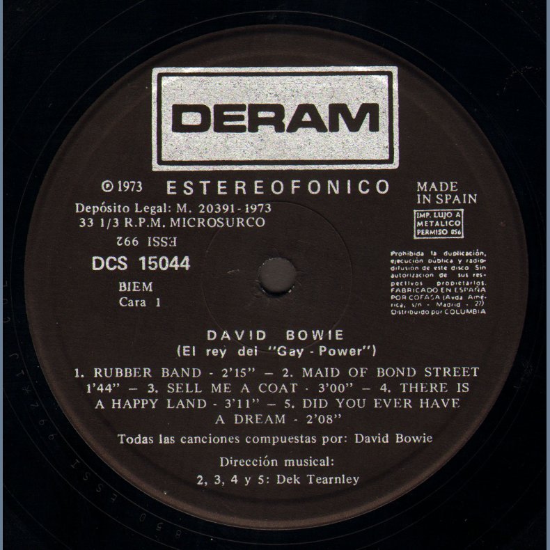 El Rey Del Gay-Power - Original Spanish-Only Vinyl Issue