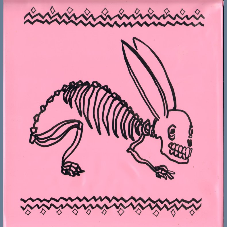 The Bunny Brains - Original US Issue With Plastic Envelope Sleeve