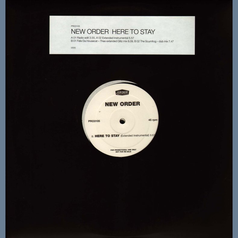 Here To Stay - UK Promotional 2 x 12" Issue