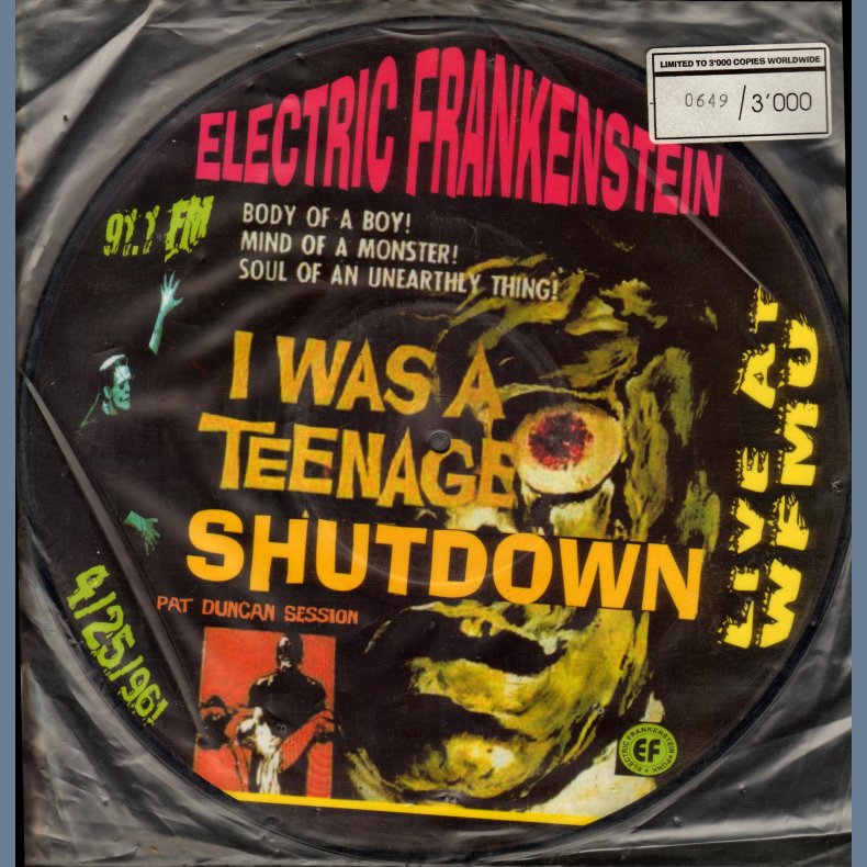 I Was A Teenage Shutdown - Switzz Limited Numbered Picture Disc