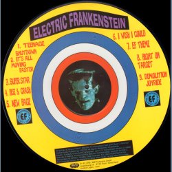 I Was A Teenage Shutdown - Switzz Limited Numbered Picture Disc