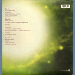 South Saturn Delta - Limited Authorized Hendrix Family 180 gram Vinyl Edition