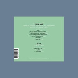 I Have Seen You Through The Years, Worn By Different Faces