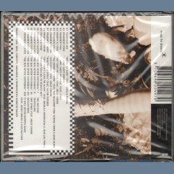 Fragments From A Space Cadet