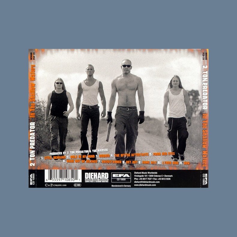 In the Shallow Waters