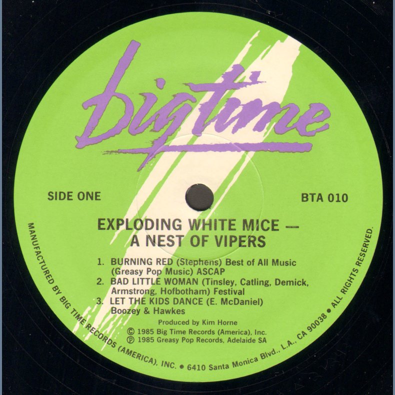In A Nest Of Vipers - US 6-track mini LP