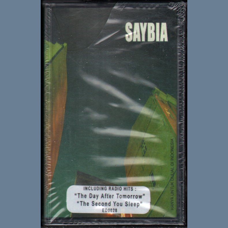 The Second You Sleep - Authentic Indonesian Music Cassette