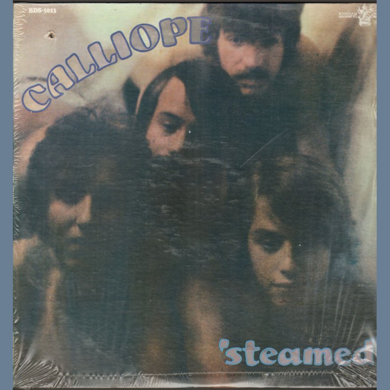 Steamed - Original US Stereo Vinyl LP