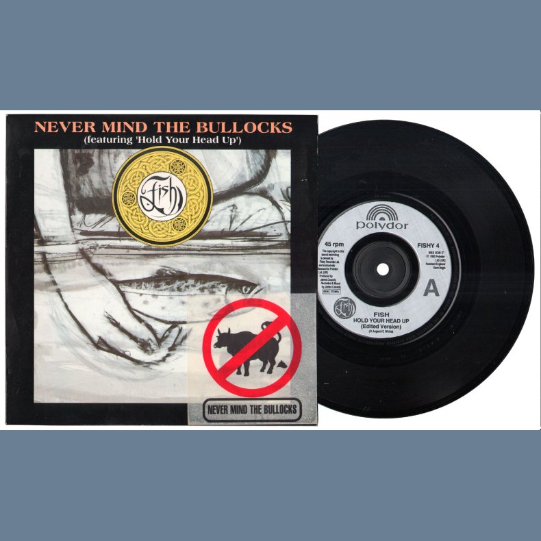 Never Mind The Bullocks b/w Question - 1992 UK 2-track Vinyl Single