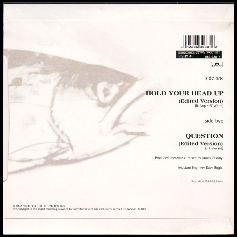 Never Mind The Bullocks b/w Question - 1992 UK 2-track Vinyl Single