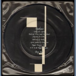 Spirit b/w Terror Couple Kill Colonel - 1982 UK Limited Edition 2-track Picture Disc 7"