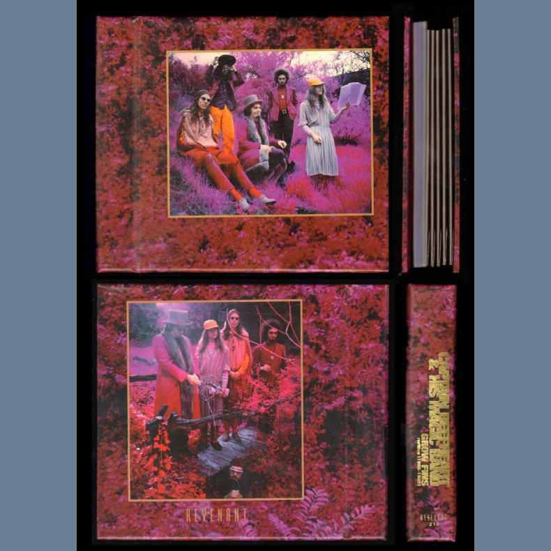 Grow Fins: Rarities (1965-82) - 5CD Box Set