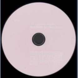 Crushing Digits - Appendices By James Braun - 2008 German 5-track promotional issue CD