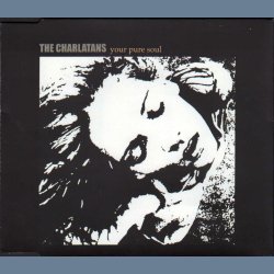 Your Pure Soul - 2010 European pressed 1-track promotional Issue CD