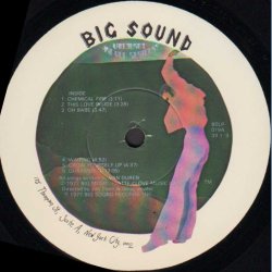 Are You Serious? - Original 1977 US 13-track Vinyl LP