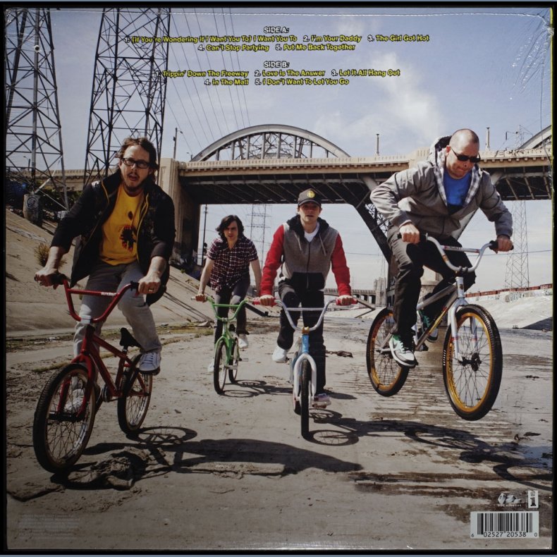 Raditude - 2009 US 10-track Vinyl LP