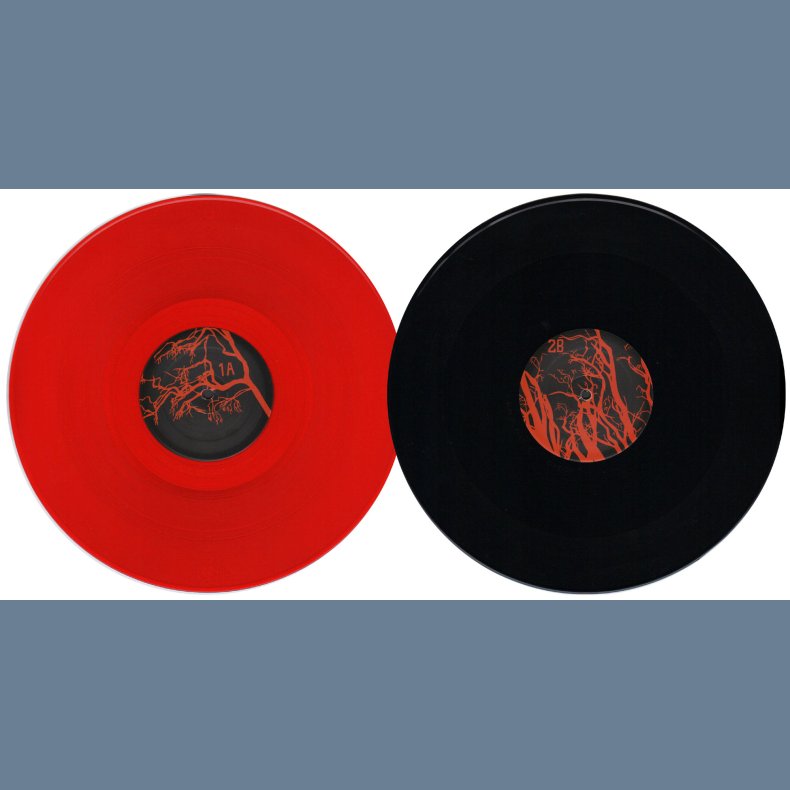 Solace - Original 2007 US Graveface label Red &amp; Black Vinyl 2LP Set
