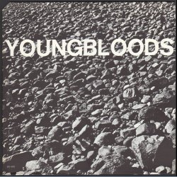 Rock Festival - Original 1970 US 11-track LP - Green Shield Labels