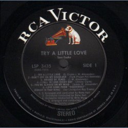 Try A Little Love - Original 1965 US 13-track Stereo Vinyl LP