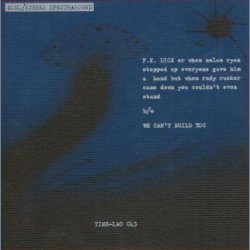 P.K Dick b/w We Cant Build You - 2007 USA pressed 2-track 7" Single