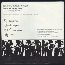 What Do You Do At Night? - 1980 Canadian pressed 3-track 7" EP