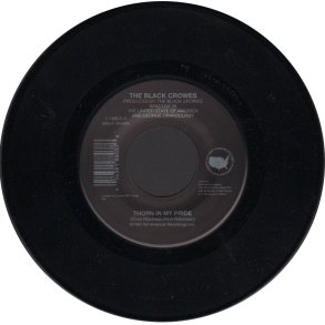 Thorn In My Pride b/w Sting Me - 1992 USA pressed 2-track 7