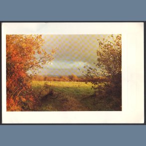 Enigma b/w Danny - Original 1981 French 2-track 7