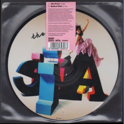 The Fear b/w Kabul Shit - 2009 UK pressed 2-track picture disc 7" single