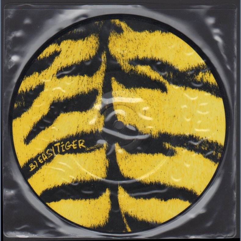 Give Me What I Want b/w Easy Tiger - 2008 German 2-track picture dics 7" single