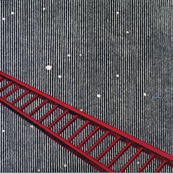 A Long Red Ladder To The Moon - 2005 US Beta-Lactam Ring label 9-track LP