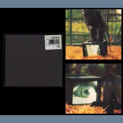 What God Want's, Part 1 - 1992 Austrian pressed 3-track limited numbered edition CD Single