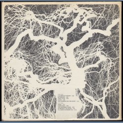 From the Witchwood - Original 1971 US White Label Promotional Issue 10-track LP