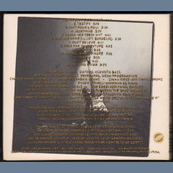 Slide On This - 1992 US Continuum label 13-track CD album