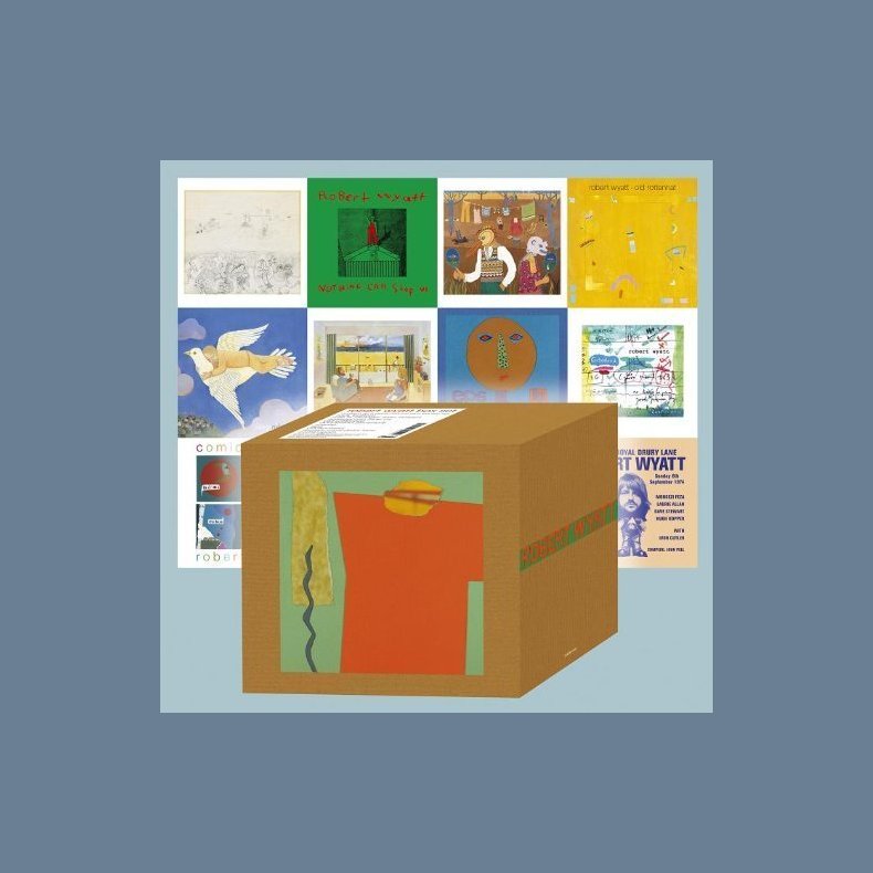 Box Set - Out of print 2009 UK Domino label limited edition 14-disc Box Set