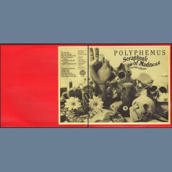 Scrapbook Of Madness - 1995 UK Acme label 2nd Issue 12-track Coloured Vinyl LP