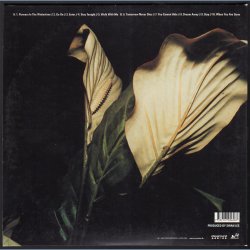 Enter - Original 2004 Danish GoGo label limited Edition 10-track LP