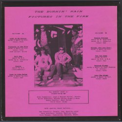 Pictures In The Fire - Original 1993 US Rockadelic label 10-track LP