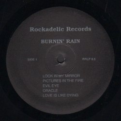 Pictures In The Fire - Original 1993 US Rockadelic label 10-track LP