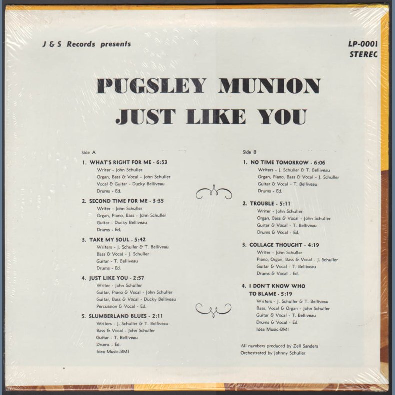Just Like You - 1970 US J&S label 9-track LP