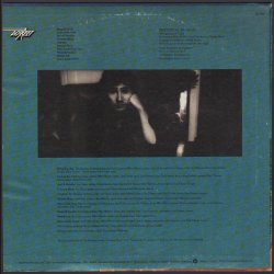 Look At The Fool - Original 1974 US Discreet label 10-track LP