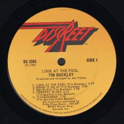 Look At The Fool - Original 1974 US Discreet label 10-track LP