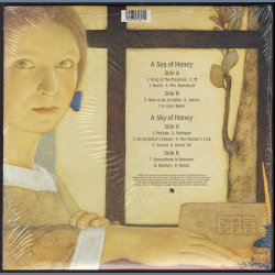 Aerial - 2005 UK EMI label 16-track 2LP set