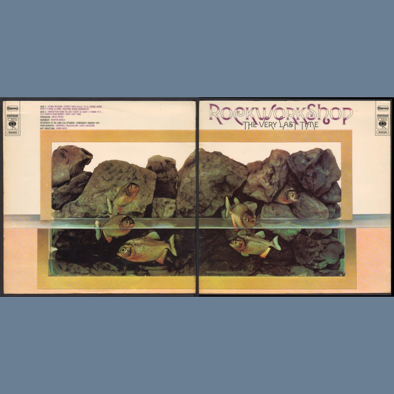 The Very Last Time - Original 1971 Dutch pressed CBS label 10-track LP